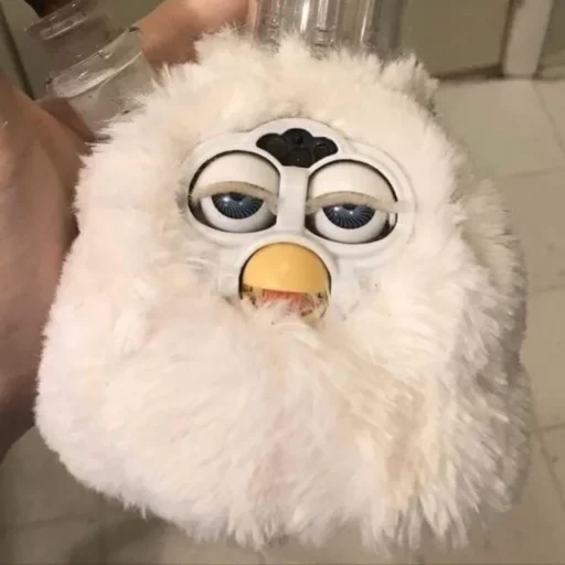 bonged furby dot org